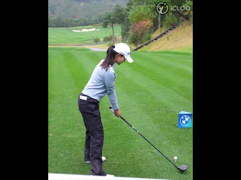 This is a textbook of the driver swing.