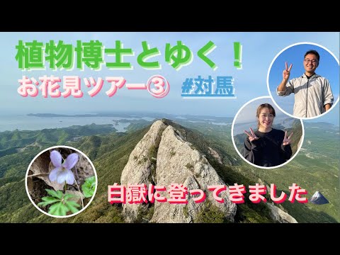 国際社会学科 【霊峰・白嶽/対馬の春】植物博士と行くお花見ツアー第3弾🌷