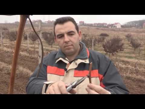 Može bolje ep. 8 01.04.2017. NAJAVA