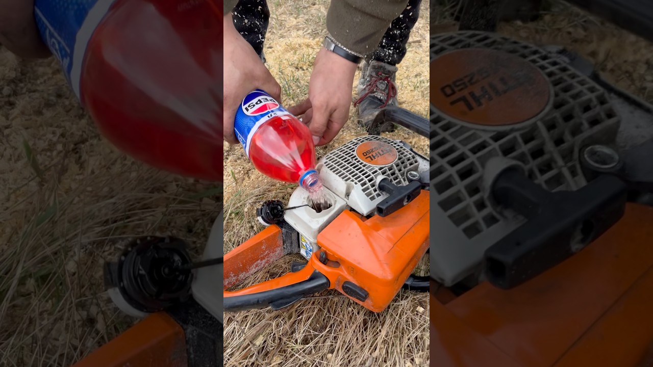STIHL - MS 250 PEPSI 😳🔥 #chainsaw #stihl #forest