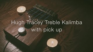 Video thumbnail for Hugh Tracey Treble Kalimba Solo with Pickup by Shun
