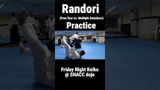Randori Practice #aikido #shacc #randori #aikidotraining #cebuphilippines #cebuaikido