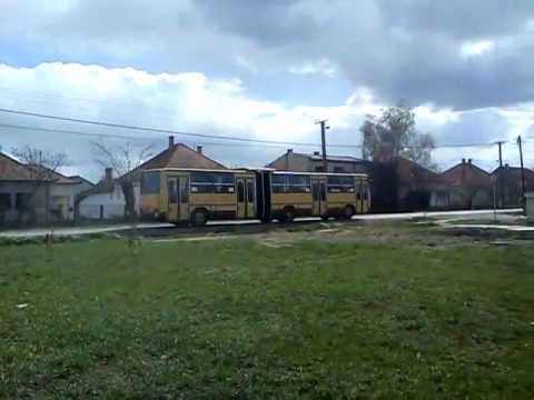 Ikarus 280.52 Körös Volán Békéscsaba