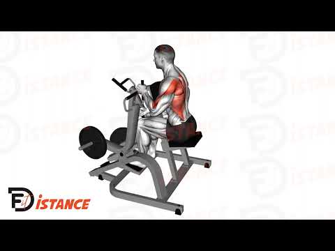 Exercice Rowing à la machine en unilatéral