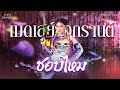 ชอบไหม แก้ม ภิสรา Cover Version Bamboo Beat