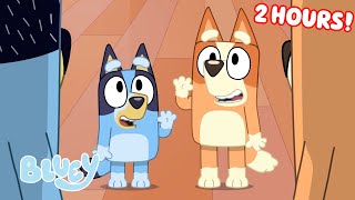 Bluey Seasons 1, 2, and 3 FULL EPISODES 💙 | Unicorse, Mini Bluey, Pass the Parcel, and More! | Bluey