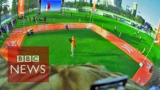 Eagle-cam: Nosedive at 170KMph - BBC News