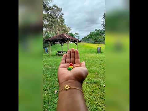 Kompa ♥️💚 x Siwooo