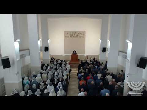 2022-10-16 - Domenica Mattina - Fr Gemelli - Fr Mondello - 2 Samuele cap 19