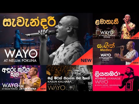 Hits Of Wayo Band❤️‍🔥 | Best Live Performance Collection  | MR GSS