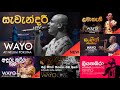 Hits Of Wayo Band ️‍ Best Live Performance Collection MR GSS