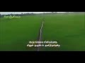 பசுமை நிறைந்த நினைவுகள்