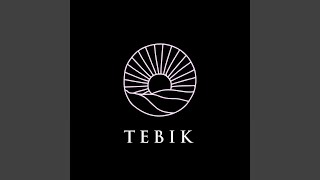 Download lagu Tebik mp3