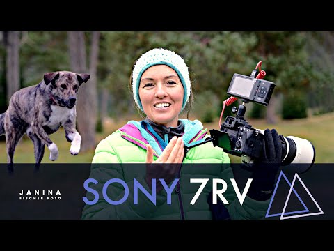SONY ALPHA A7RV autofocus test and lowlight comparison with A1