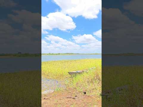 🌿 SÍTIO ALVORADA – ÀS MARGENS DO AÇUDE BOQUEIRÃO, NO CARIRI PARAIBANO 🌿