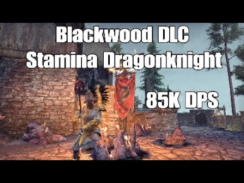 Eso Stamina Dragonknight 85K DPS Blackwood DLC