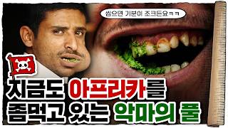 지식해적단 thumbnail