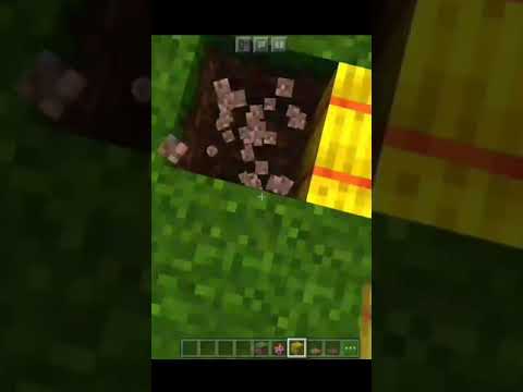 Minecraft | How to make a chicken coop