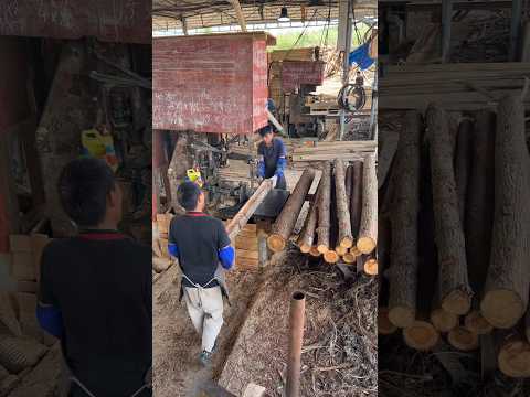 Working hard to get married - sawing timber