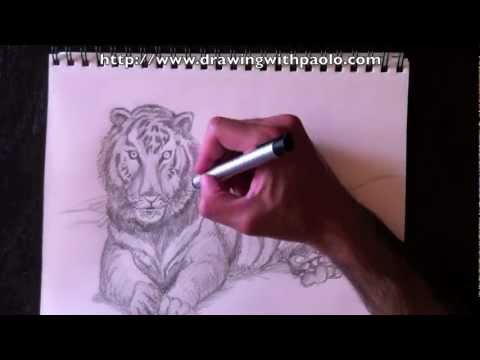 comment colorier un tigre