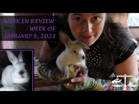 Week in Review: Week of January 9, 2023