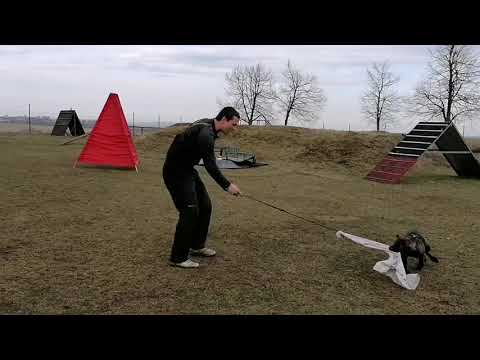 Ruby Rose Leryka - obrany 3/2020 (3 měsíce)