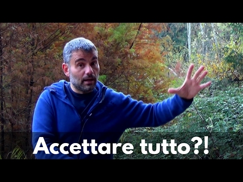 Ernie intervertebrali del rachide cervicale Cosa fare se una spalla dolorante al collo