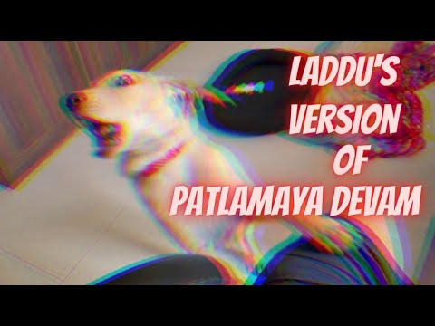Laddu's Version of Patlamaya Devam