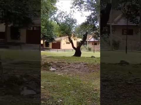 Mina Clavero, Traslasierras, Córdoba, Argentina.#minaclavero