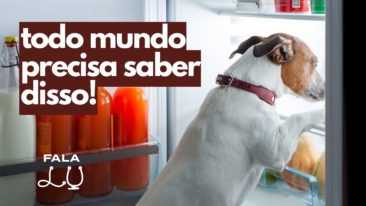 SENTIR UM POUCO DE FOME É BOM | A mágica da grelina para emagrecer, ficar mais forte, e mais