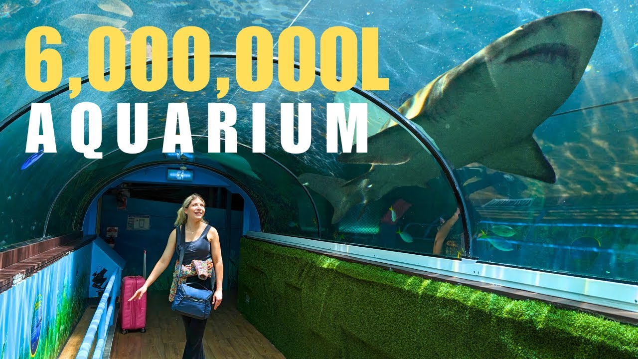Join traveler on a captivating visit to SEA LIFE Sydney Aquarium.