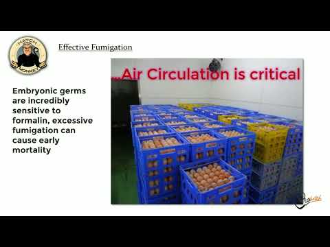 Effective Fumigation