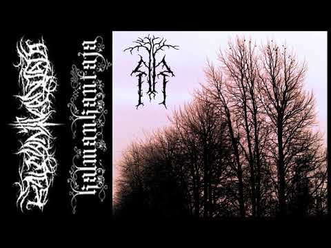 Kalmankantaja [FIN] [DSBM/Atmospheric Black] 2016 - Kylmään Hylätyt (Full Demo)