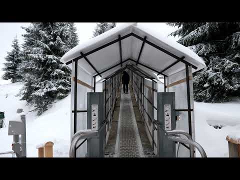 Lacul Rosu - Cheile Bicazului 2021 - 2022