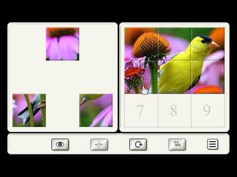 Видео Пазлы - Разные темы #1