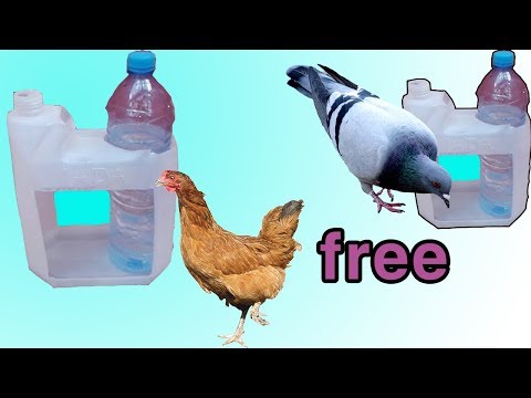 how to make a water feeder for birds صنع سقاية للطيور