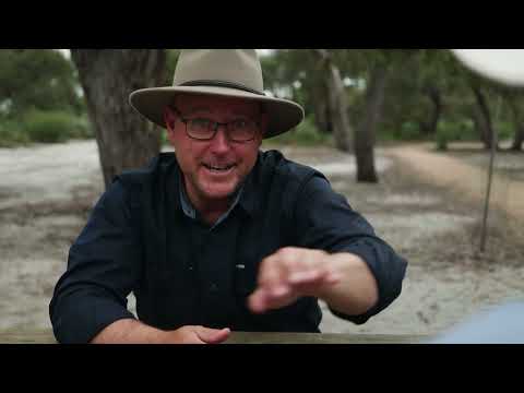 Raymond Island Koala Trail