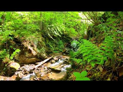 רצף של ניגוני חב״ד שקטים!!!