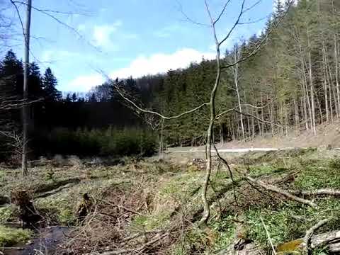 Fabian kreim schottertest skoda fabia r5