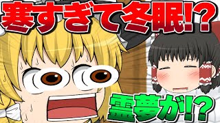 【ゆっくり茶番】霊夢が寒すぎて冬眠...？