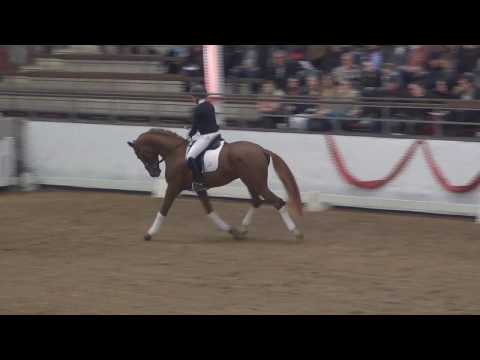 FIRST DEAL (Floriscount x De Niro)