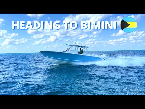 COBIA TO BIMINI