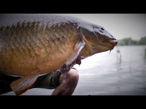 Lanseta Sportex FBC CS-3 Carp 12ft 3.66m 3.0lbs