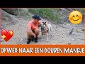 Met het vliegtuig naar Nederland! | DierenpraatTV