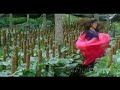 Kyon Hota Hai Pyaar Bata Dilbar Kaise Achanak Mil Jati Hai Nazar