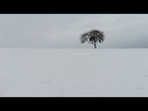 LC Podcast #001 - Wolv