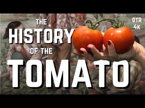 The Wild Story of Tomatoes: From "Poison Apple" to Pizza Sauce