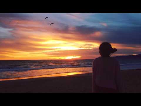 Organic Patterns - A Mid Fall Sunset