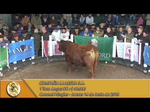14-06-18 Venta de Toros P.P. - Compañia La Legua S.A. - Coronel Pringles.