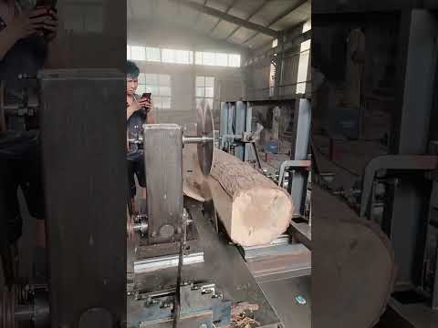 Log Sliding Table Saw